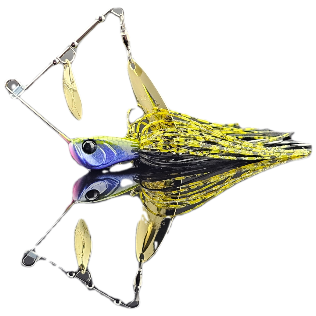 Monsoon Spinner