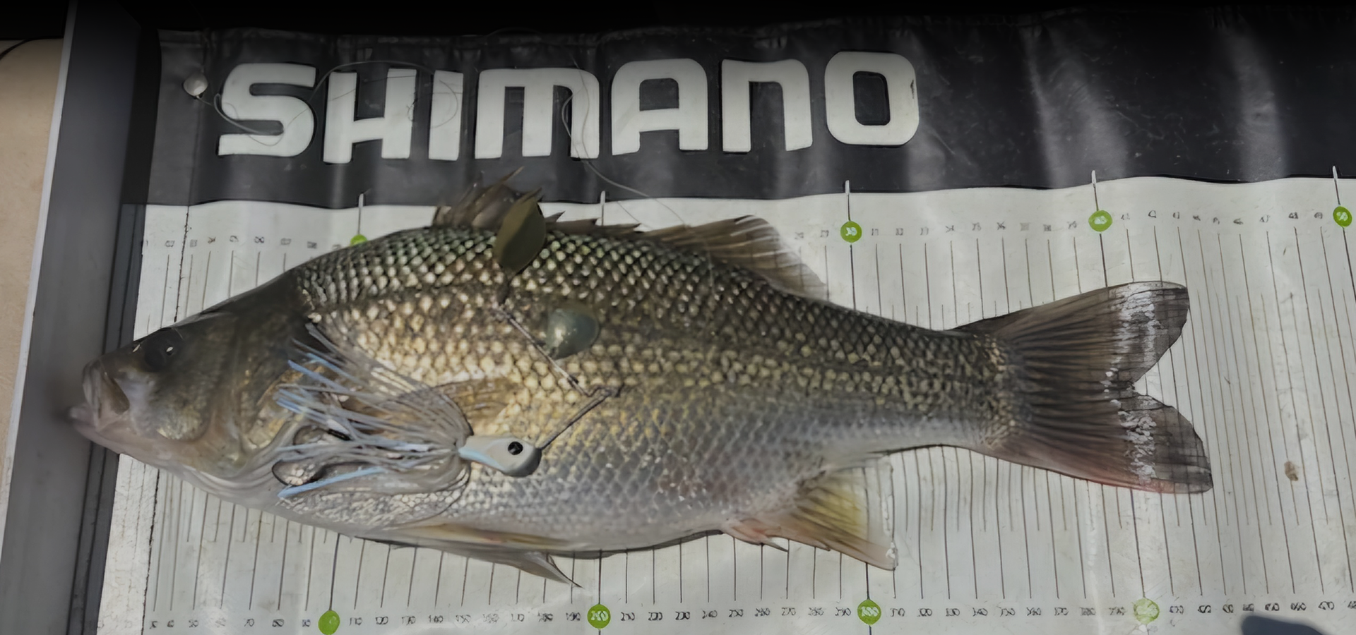 slider image 1621243260e1af0c20-0